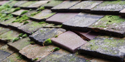 Hungerford roof repair costs